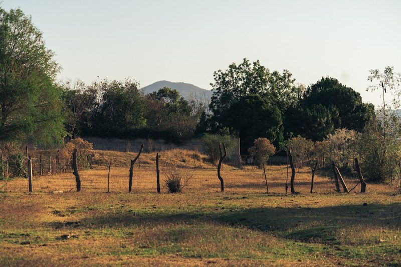 How to Find Buyers for Montana Ranches?